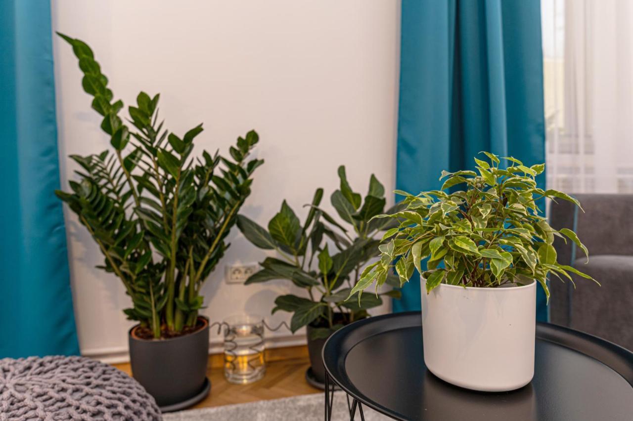 Garden Hideout - Central Apartment 브라쇼브 외부 사진